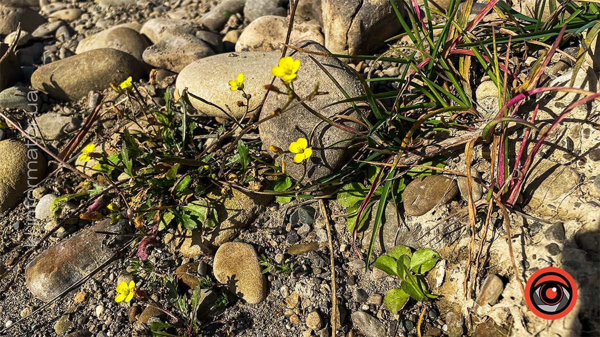 Між теплом осені та прохолодою зими: Коломия у листопаді 2024 3