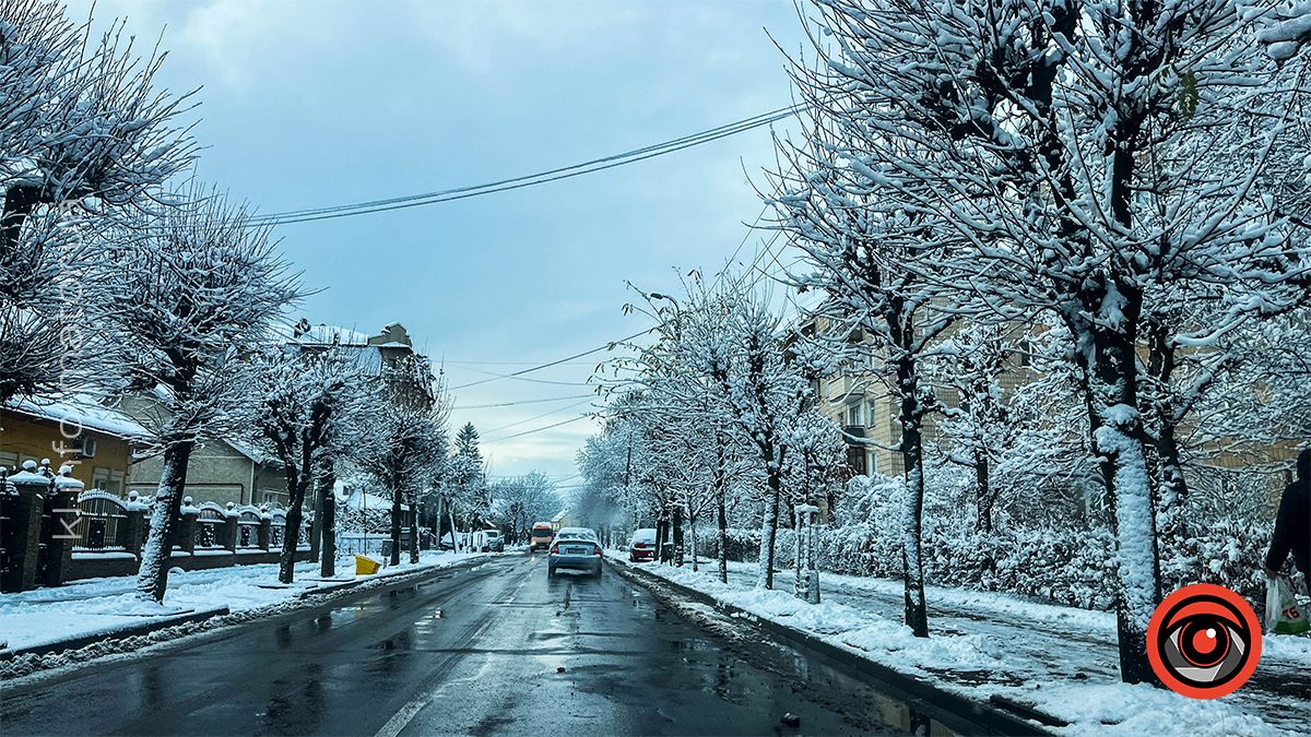 Між теплом осені та прохолодою зими: Коломия у листопаді 2024 4