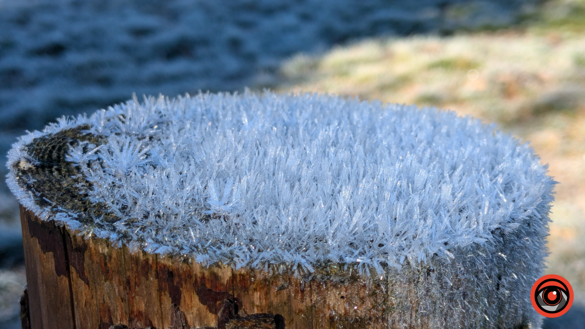 Неприступні та чарівні: фоторепортаж Ґорґан на порозі зими 2