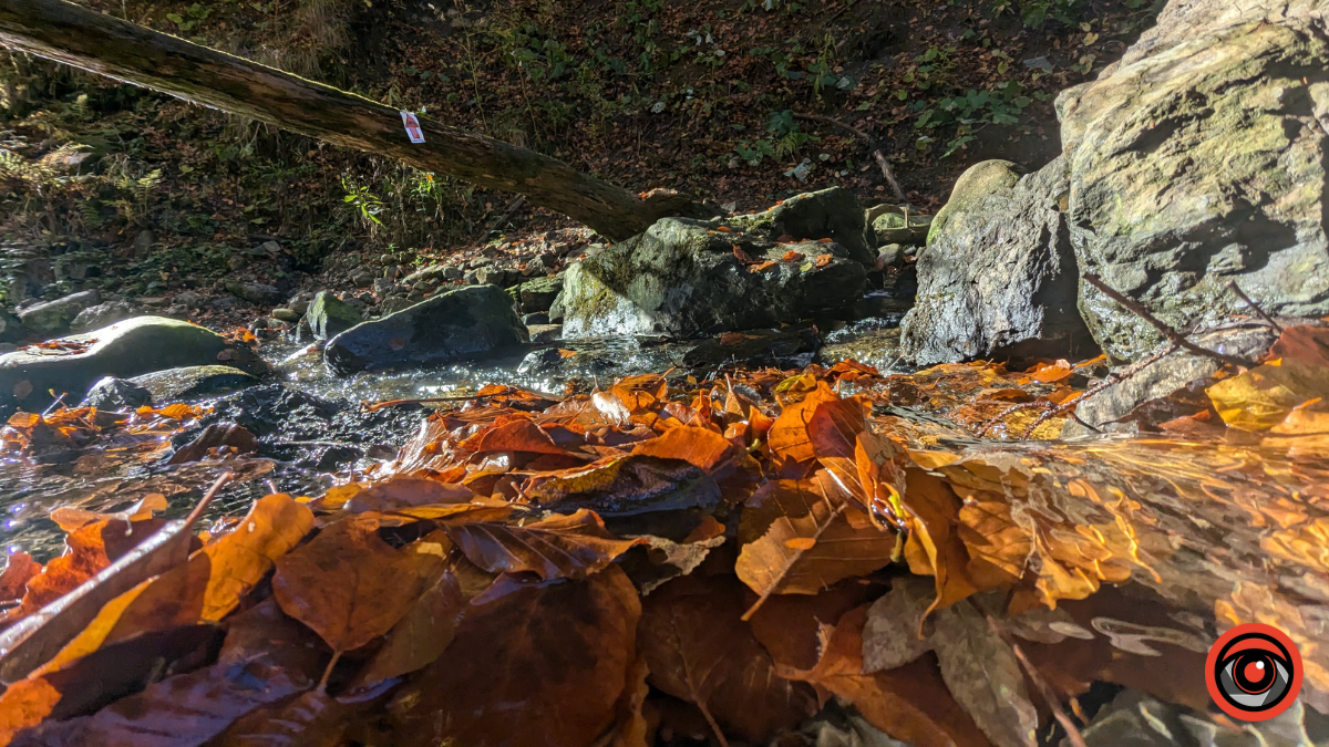 Неприступні та чарівні: фоторепортаж Ґорґан на порозі зими 4