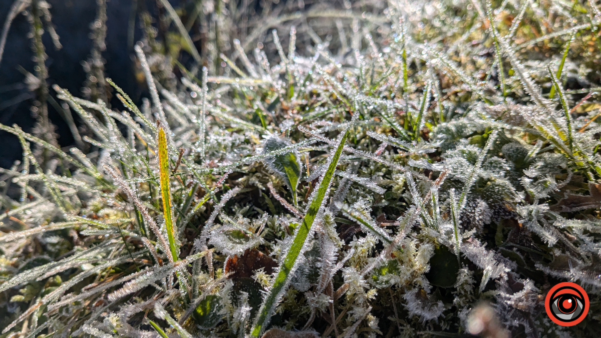 Неприступні та чарівні: фоторепортаж Ґорґан на порозі зими 5