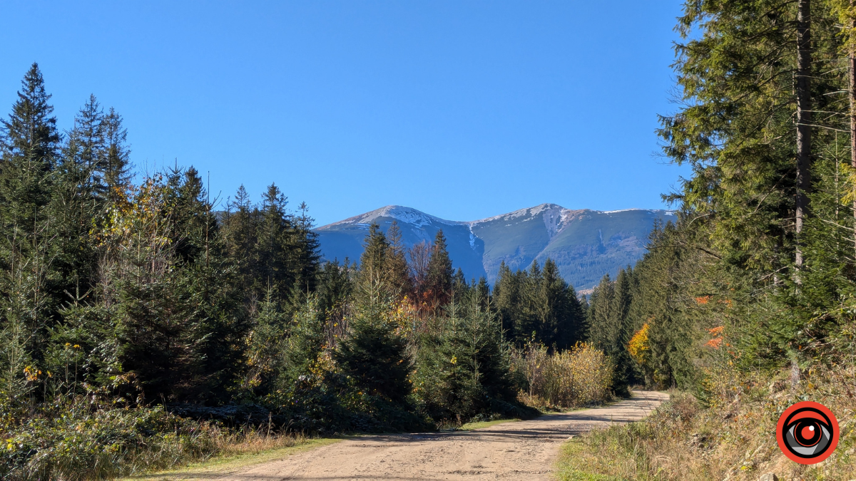 Неприступні та чарівні: фоторепортаж Ґорґан на порозі зими 6