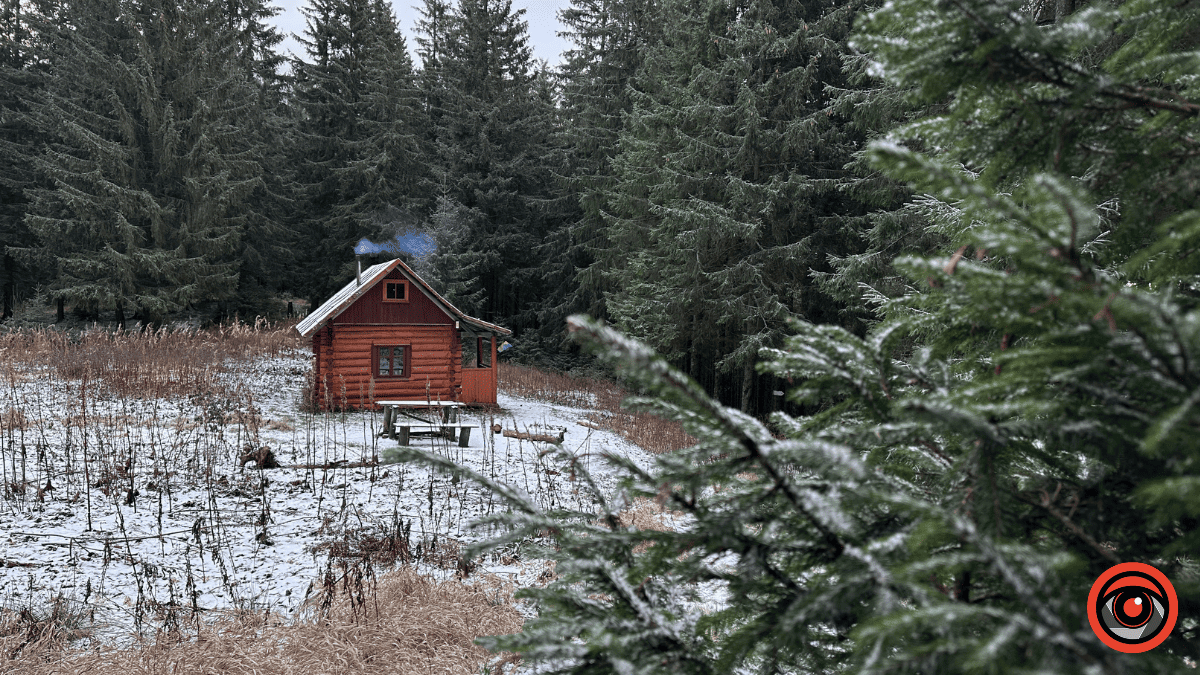 Дика природа вже зимових Ґорґан: фоторепортаж з Карпат 6