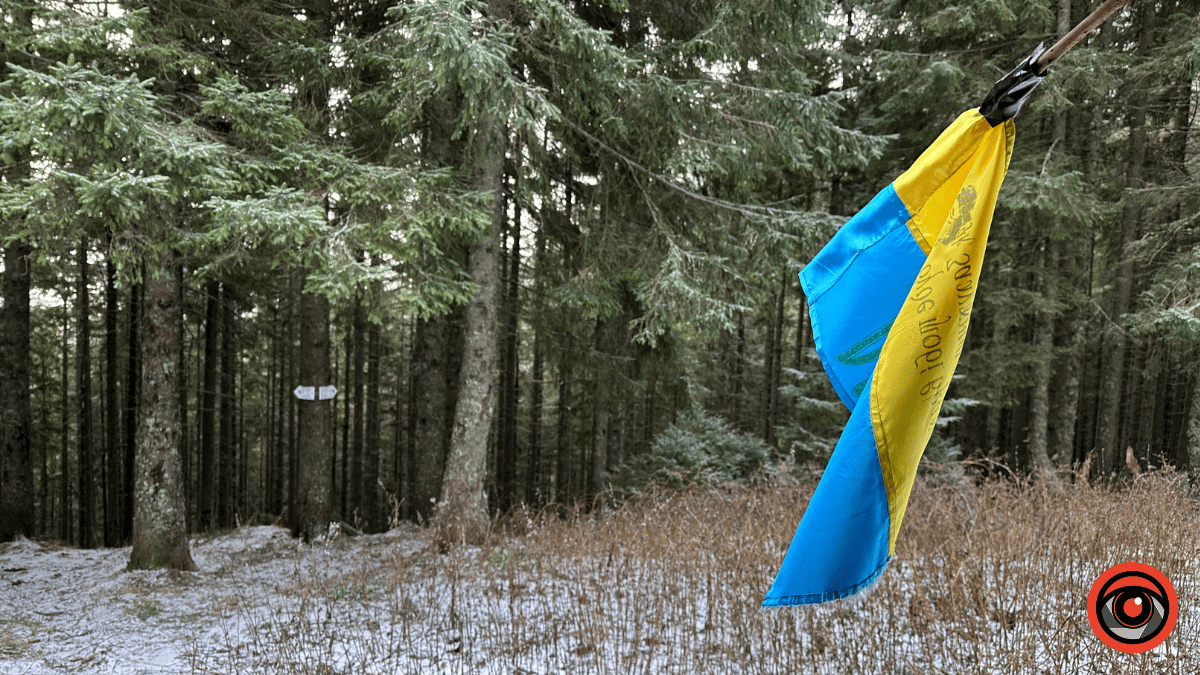 Дика природа вже зимових Ґорґан: фоторепортаж з Карпат 4