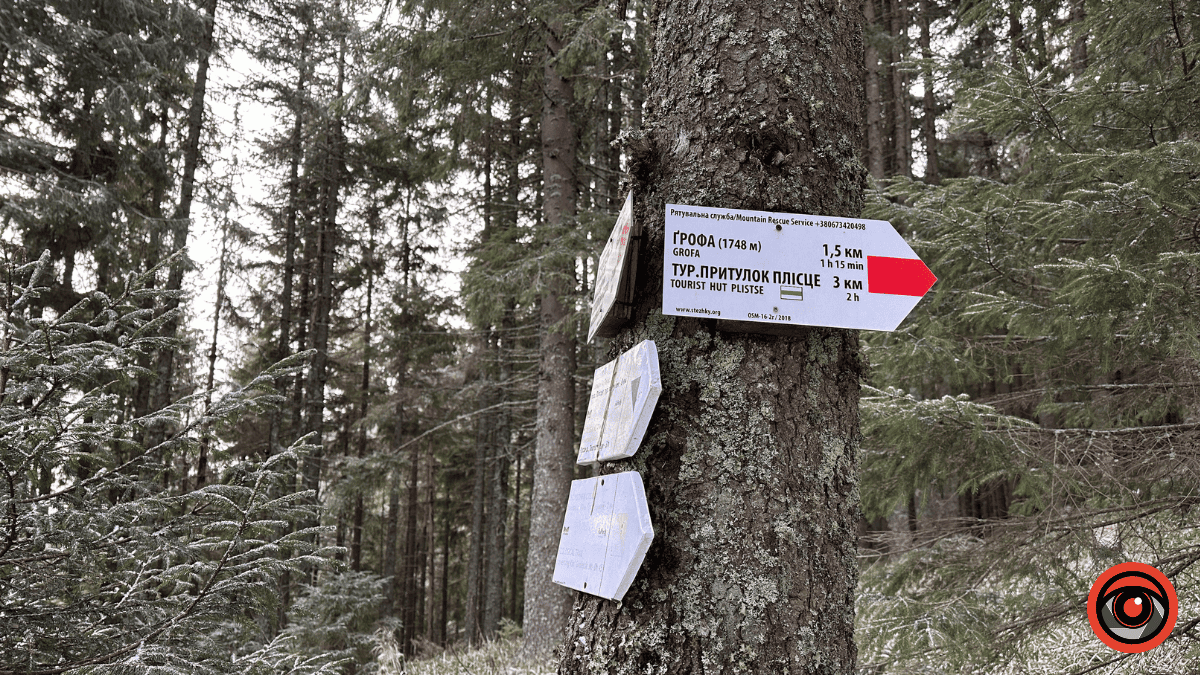 Дика природа вже зимових Ґорґан: фоторепортаж з Карпат 5