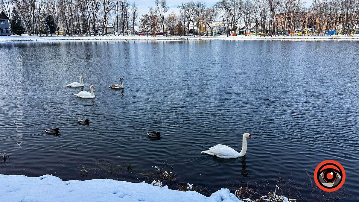 Засніжена Коломия: фоторепортаж білосніжного міста у листопаді 2024 24