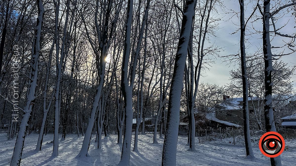 Засніжена Коломия: фоторепортаж білосніжного міста у листопаді 2024 22