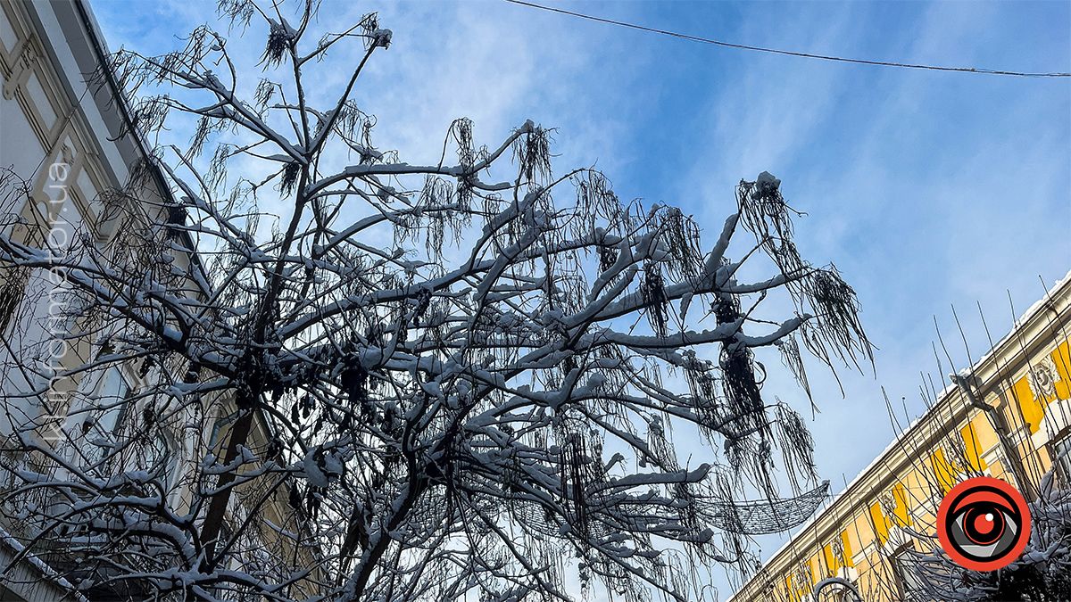 Засніжена Коломия: фоторепортаж білосніжного міста у листопаді 2024 18