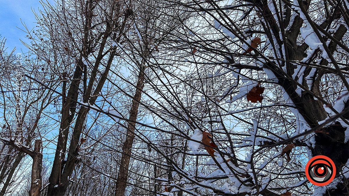 Засніжена Коломия: фоторепортаж білосніжного міста у листопаді 2024 23