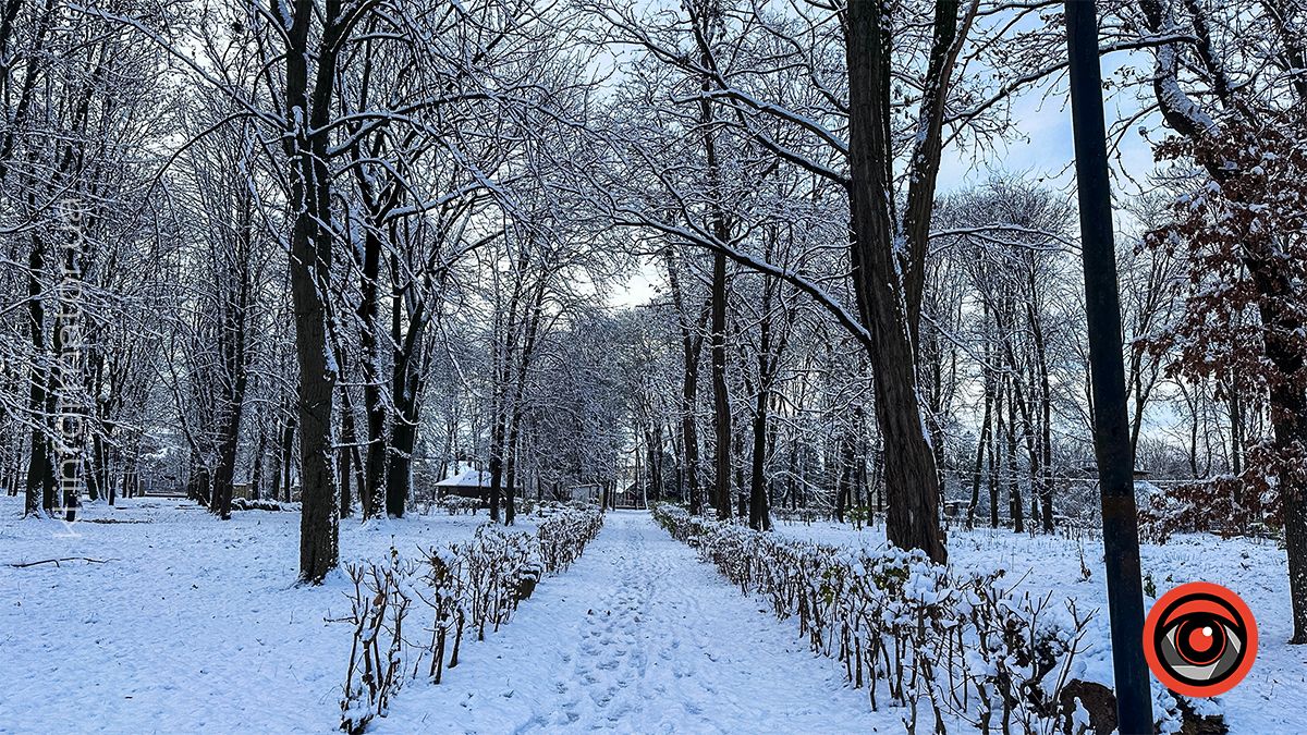 Засніжена Коломия: фоторепортаж білосніжного міста у листопаді 2024 21