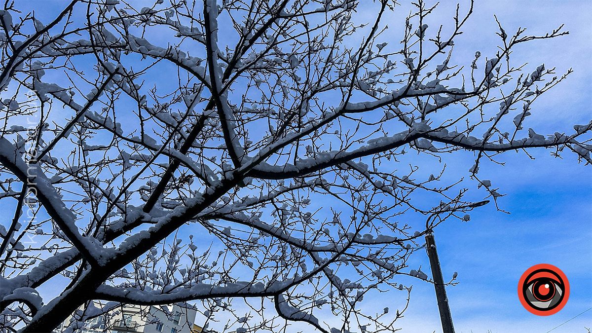 Засніжена Коломия: фоторепортаж білосніжного міста у листопаді 2024 19