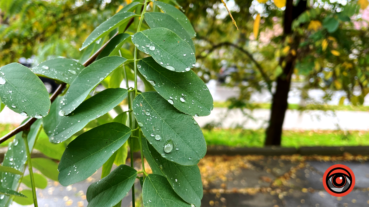 Різна, але така рідна: якою була Коломия у жовтні 2024 5