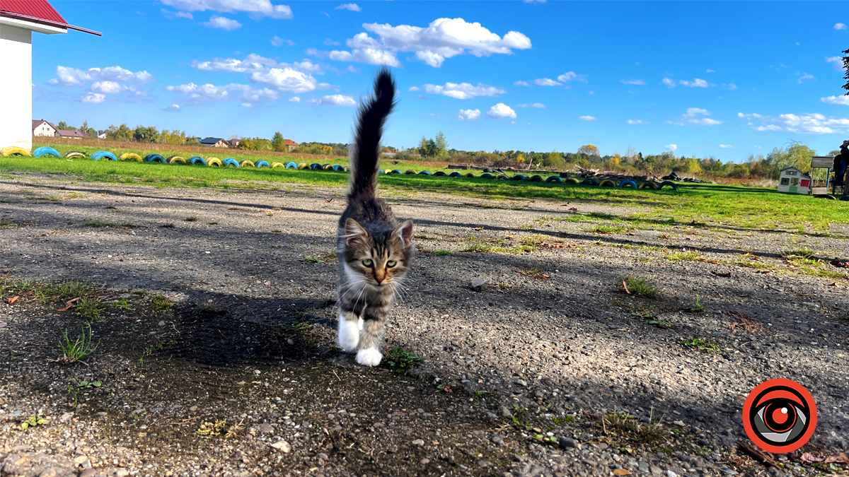 Різна, але така рідна: якою була Коломия у жовтні 2024 6