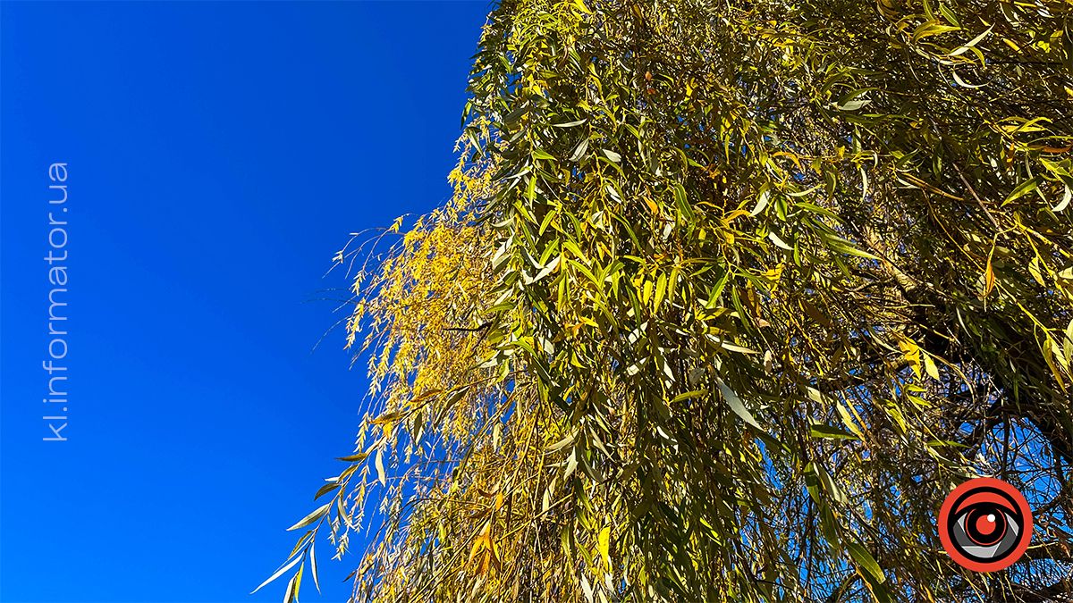 Коломийське озеро ім.Руфа напередодні зими. Фоторепортаж 13