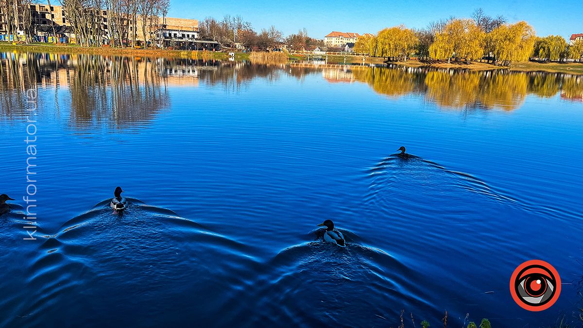 Коломийське озеро ім.Руфа напередодні зими. Фоторепортаж 12