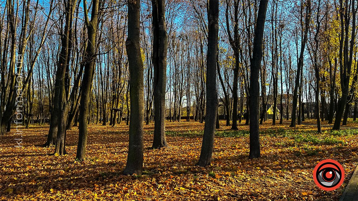 Коломийське озеро ім.Руфа напередодні зими. Фоторепортаж 17