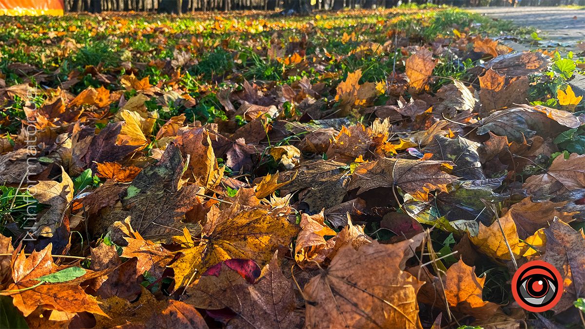 Коломийське озеро ім.Руфа напередодні зими. Фоторепортаж 16