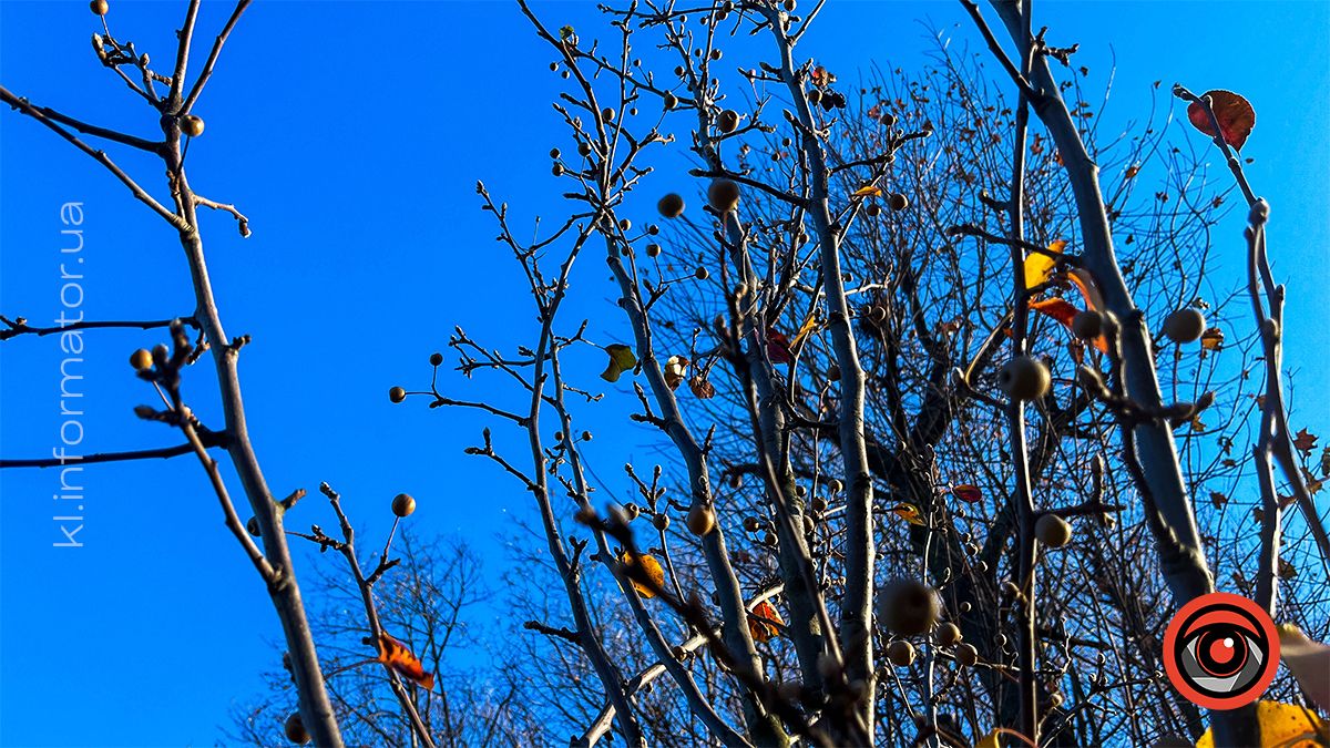 Коломийське озеро ім.Руфа напередодні зими. Фоторепортаж 19