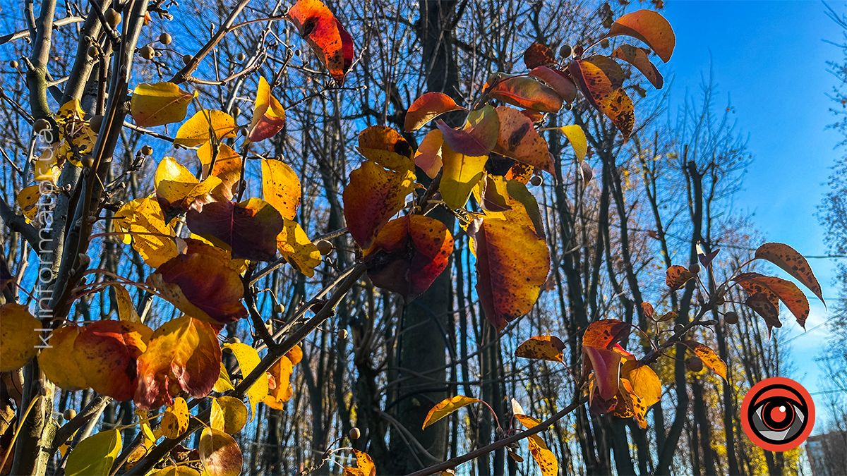 Коломийське озеро ім.Руфа напередодні зими. Фоторепортаж 14