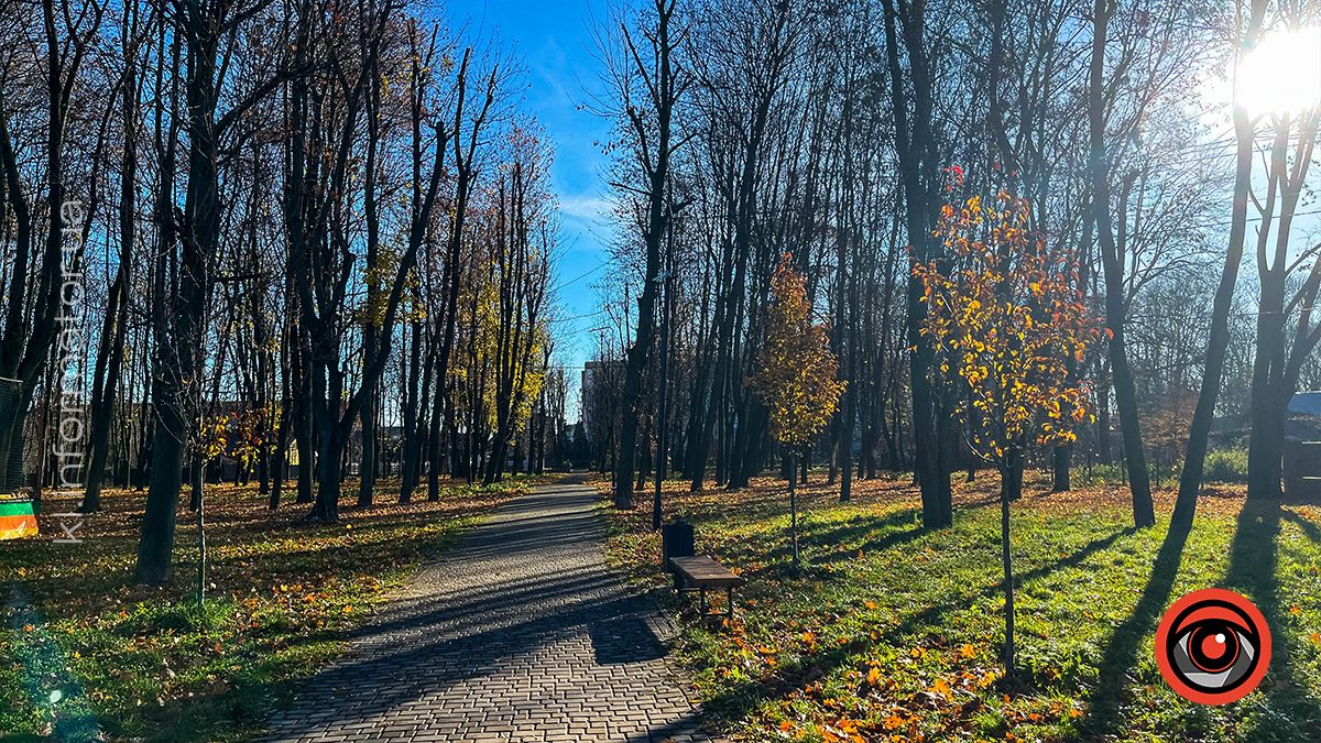 Коломийське озеро ім.Руфа напередодні зими. Фоторепортаж 15