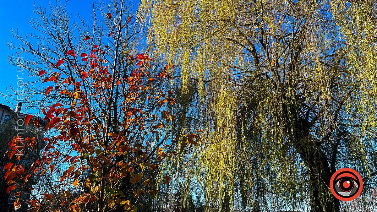 Коломийське озеро ім.Руфа напередодні зими. Фоторепортаж 6