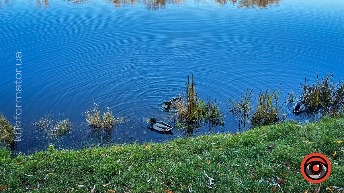 Коломийське озеро ім.Руфа напередодні зими. Фоторепортаж 7