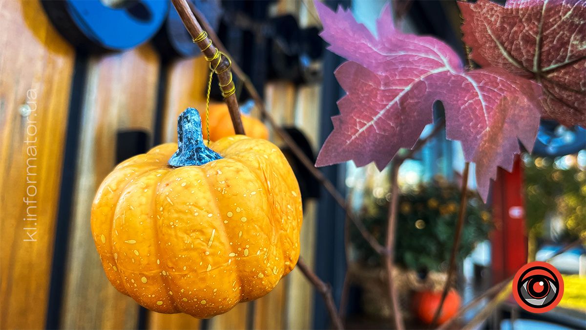 Коломийське озеро ім.Руфа напередодні зими. Фоторепортаж 8