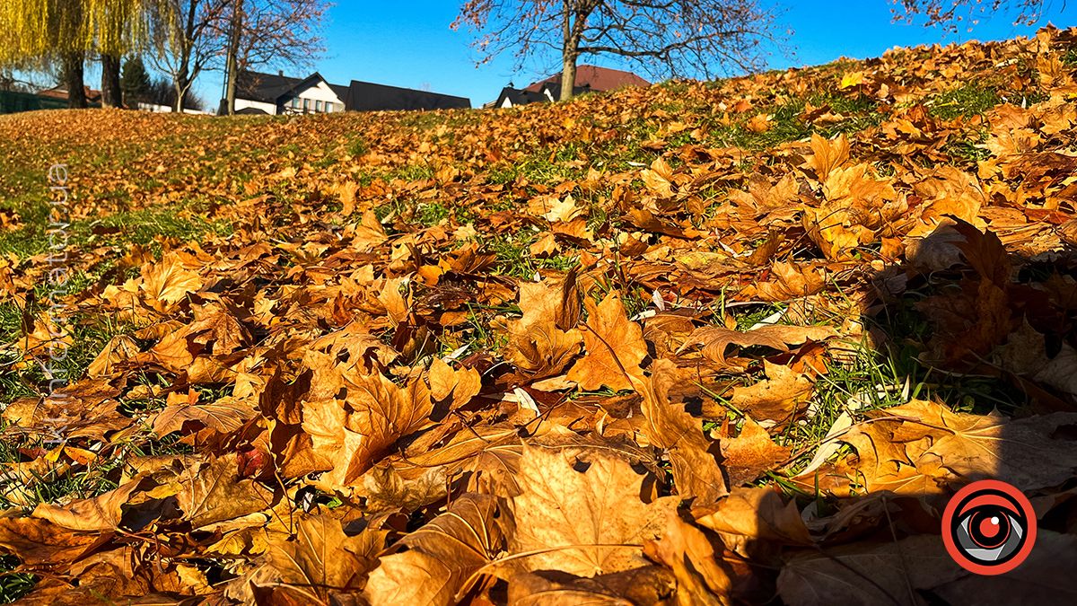 Коломийське озеро ім.Руфа напередодні зими. Фоторепортаж 9