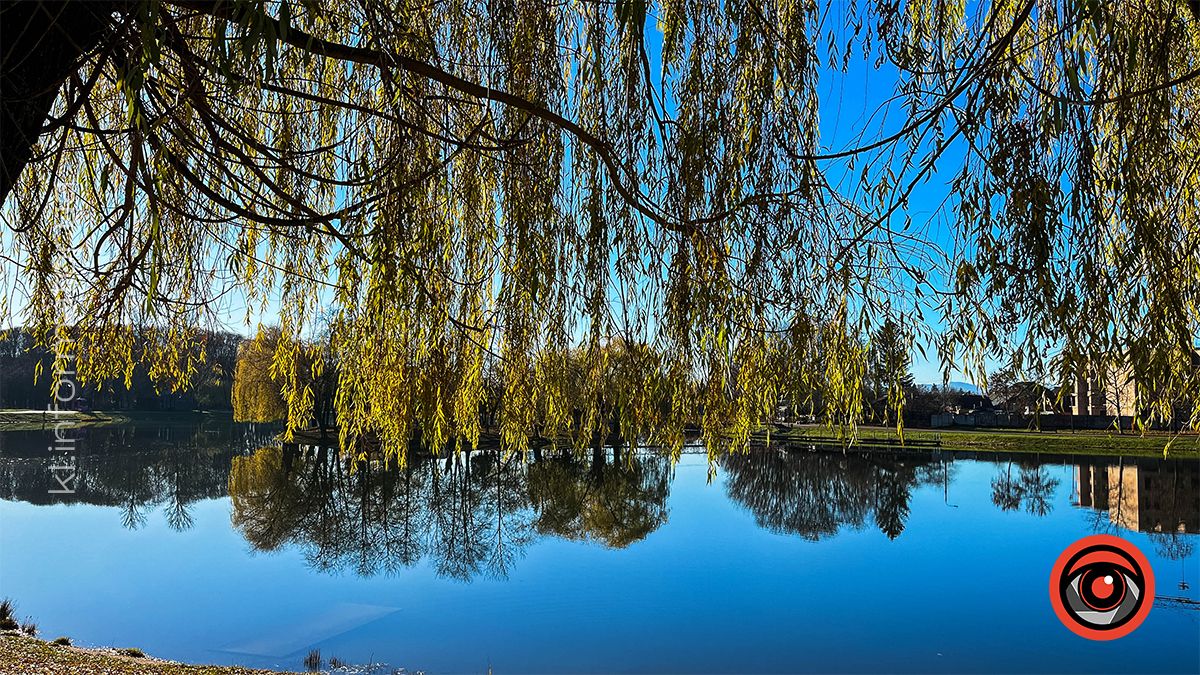 Коломийське озеро ім.Руфа напередодні зими. Фоторепортаж 22