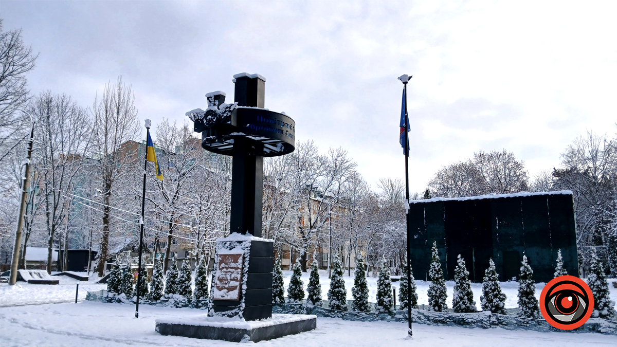 Зимова казка у парку імені Трильовського: фоторепортаж 12