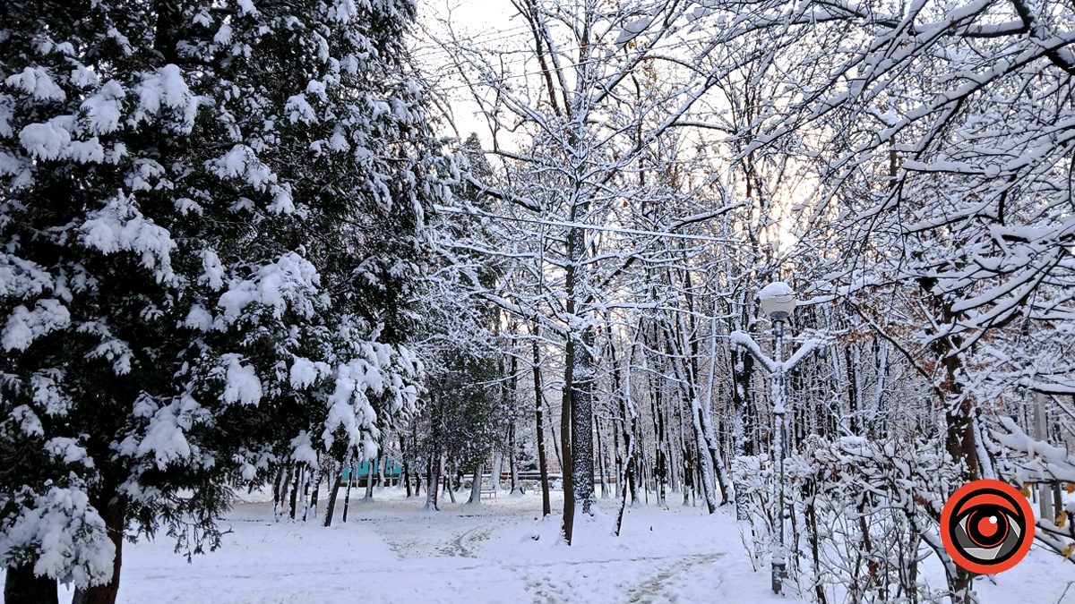 Зимова казка у парку імені Трильовського: фоторепортаж 9