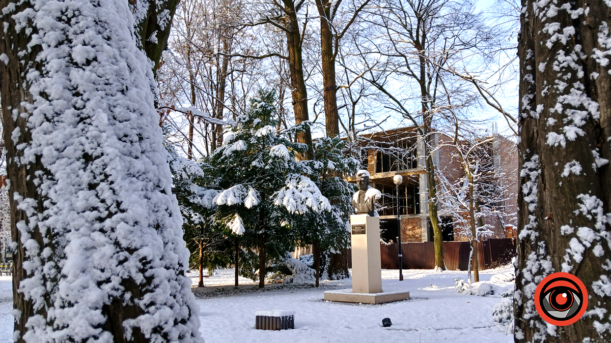 Зимова казка у парку імені Трильовського: фоторепортаж 5