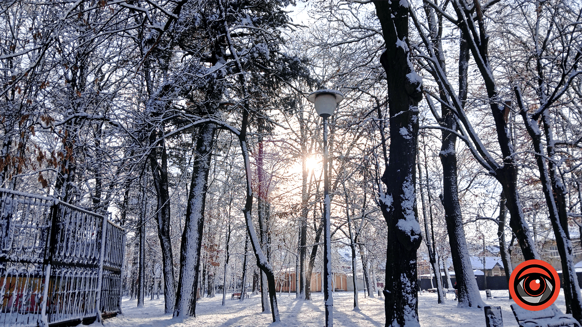 Зимова казка у парку імені Трильовського: фоторепортаж 7