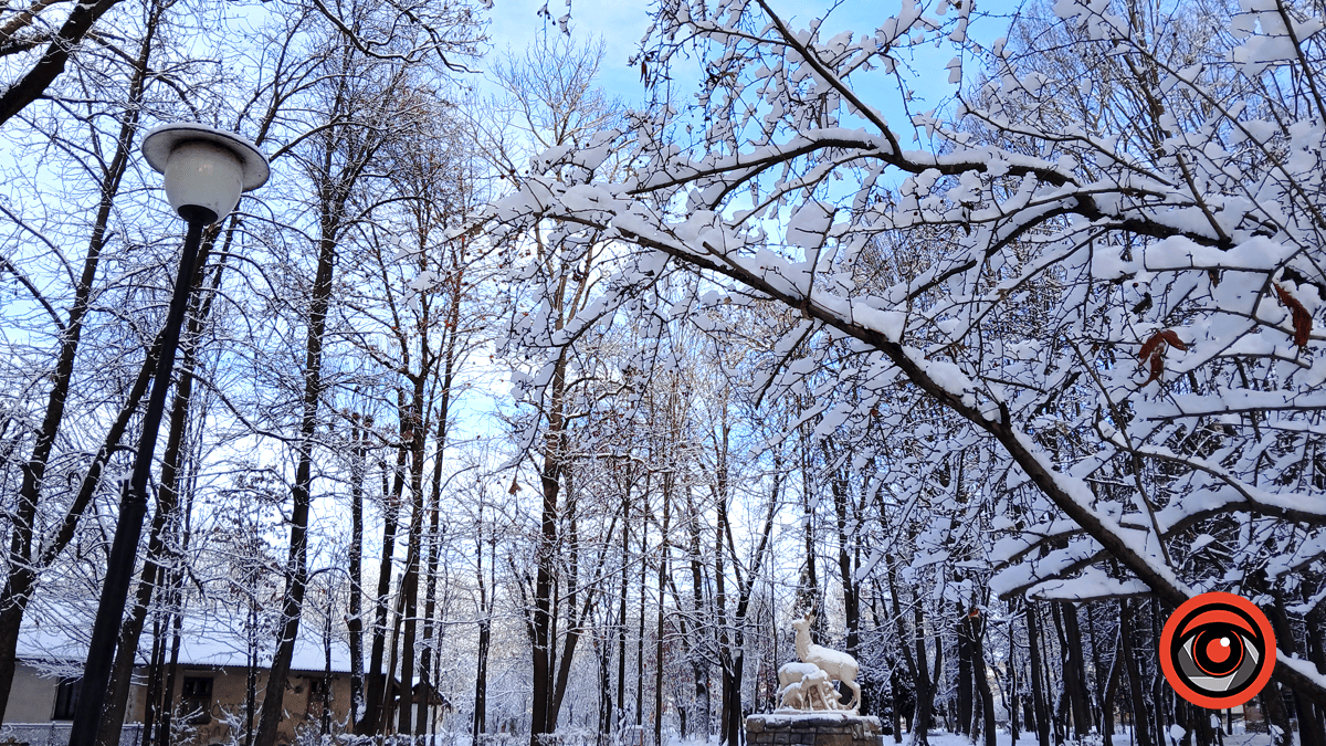 Зимова казка у парку імені Трильовського: фоторепортаж 10