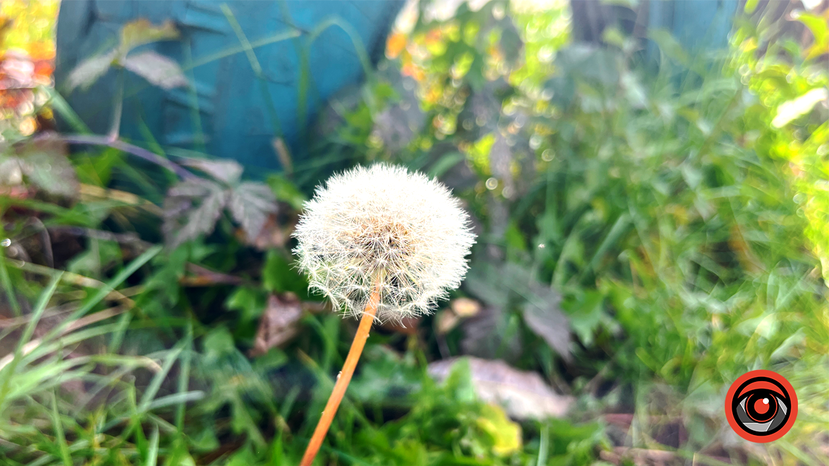 Погода у Коломиї 7 листопада