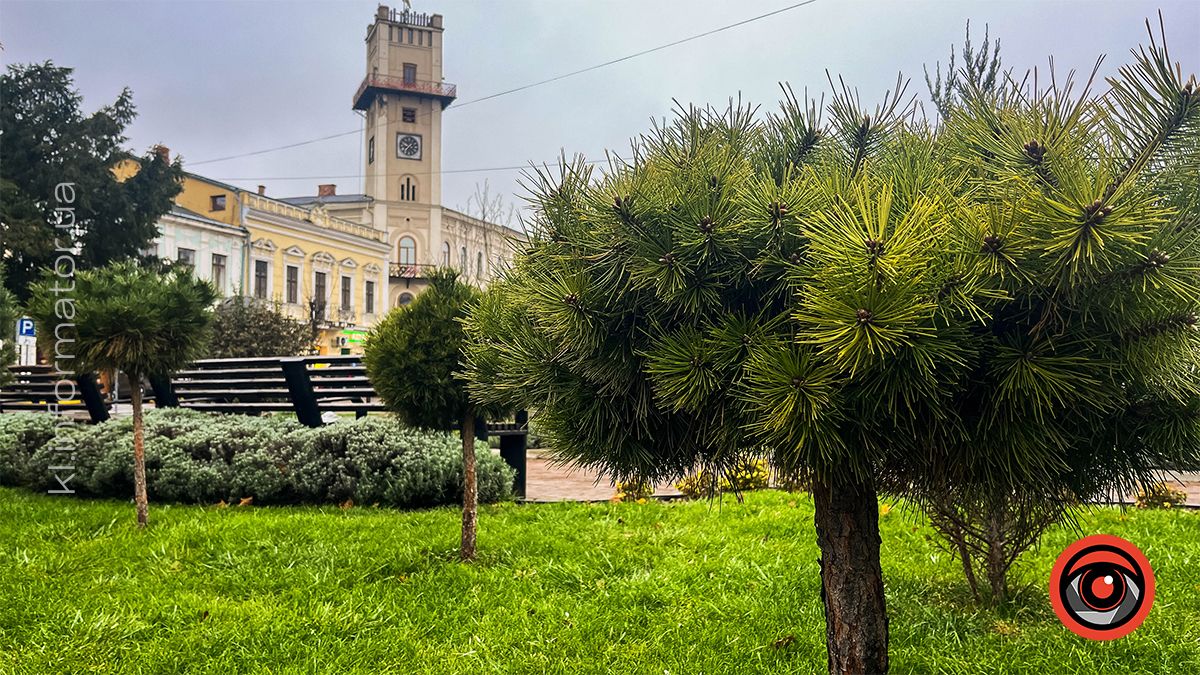 Похмуре середмістя Коломиї: фоторепортаж 4