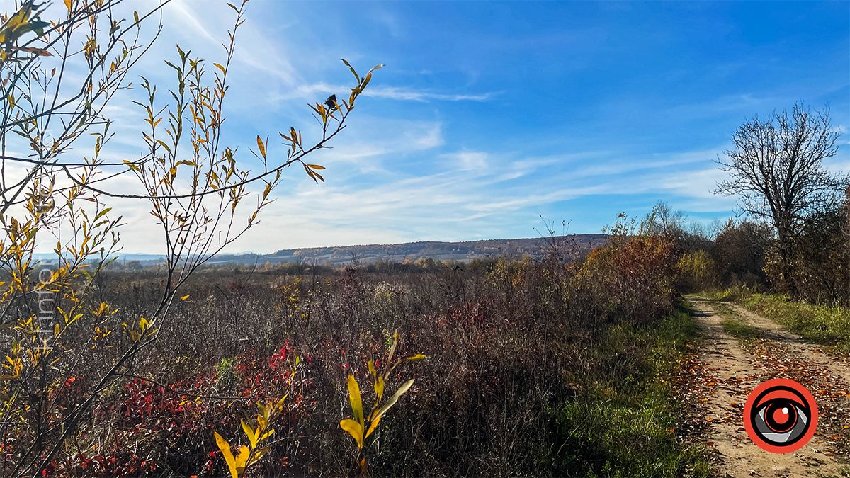 Краєвид у Шепарівцях