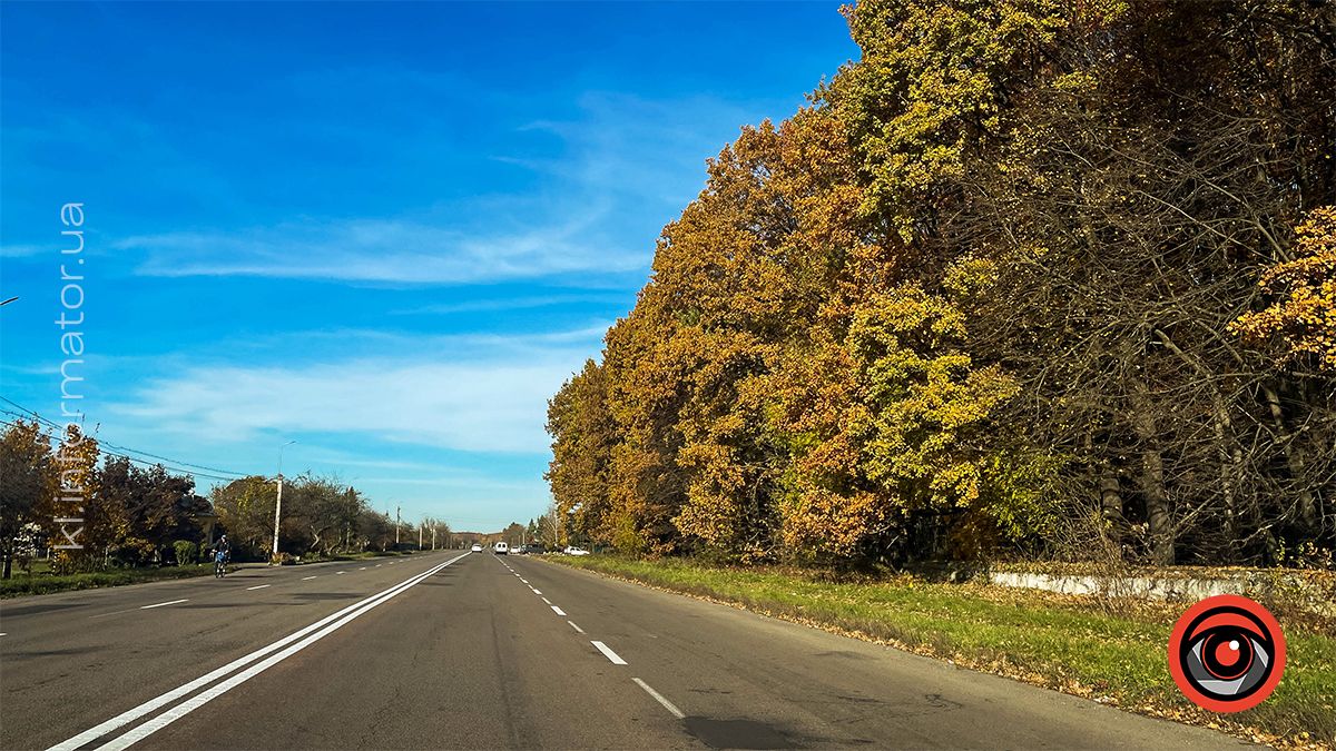 Дорога через Шепарівці