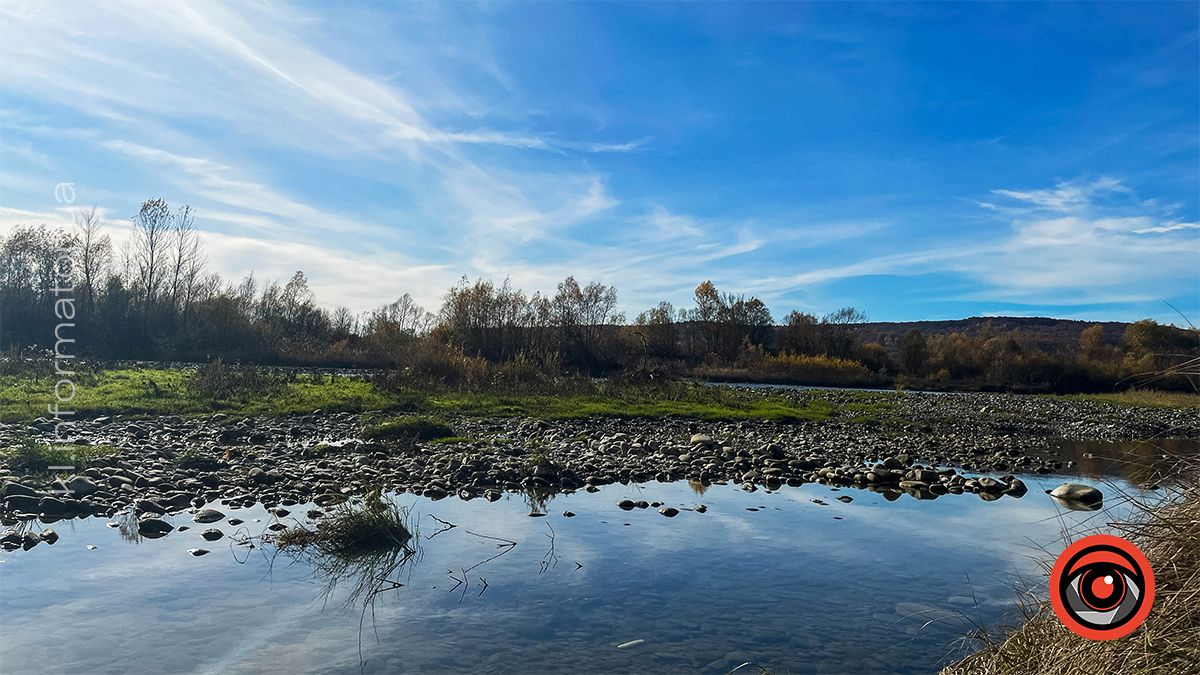 Прут у Шепарівцях