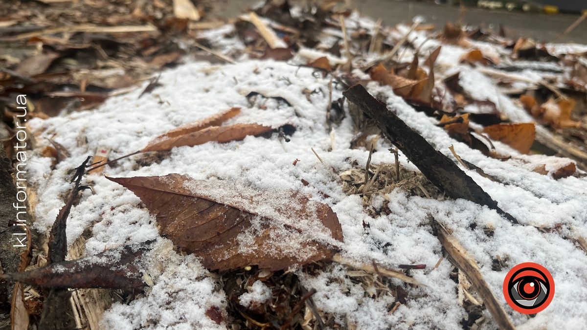 Коломийщина, 13 листопада 2024 р.