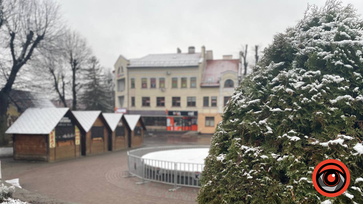 Де на Прикарпатті засніжило 13 листопада: фото 7