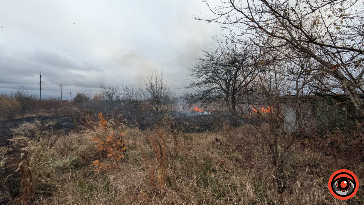 У Коломиї знову палала суха трава 1