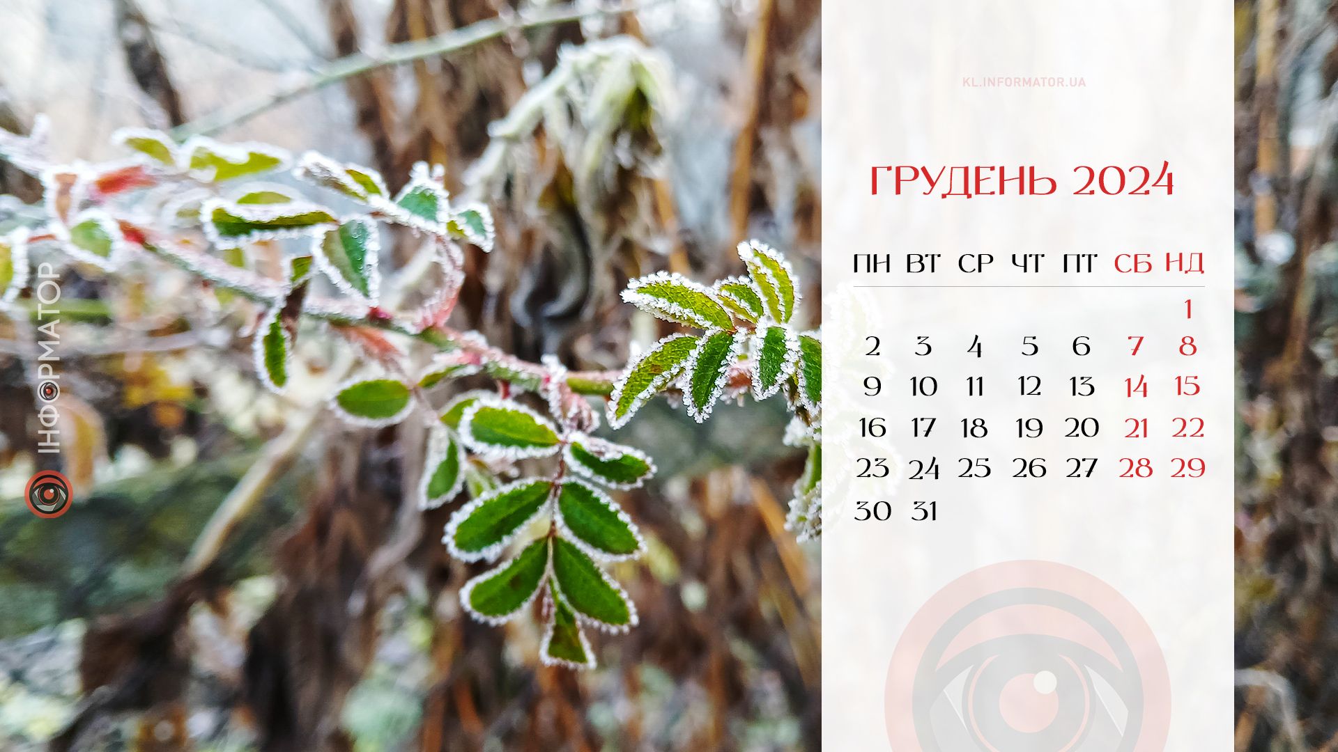 Зимовий настрій: календарі на робочий стіл від Інформатора. Грудень 2024 2