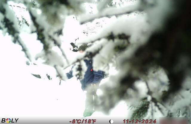 На кордоні з Румунією затримали нелегальних "мандрівників", серед них – прикарпатці 1