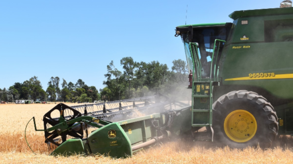 Як Agronetto сприяє розвитку сільського господарства в Україні 2