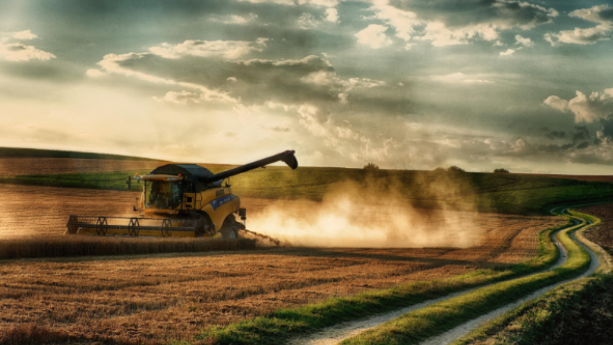 Як Agronetto сприяє розвитку сільського господарства в Україні