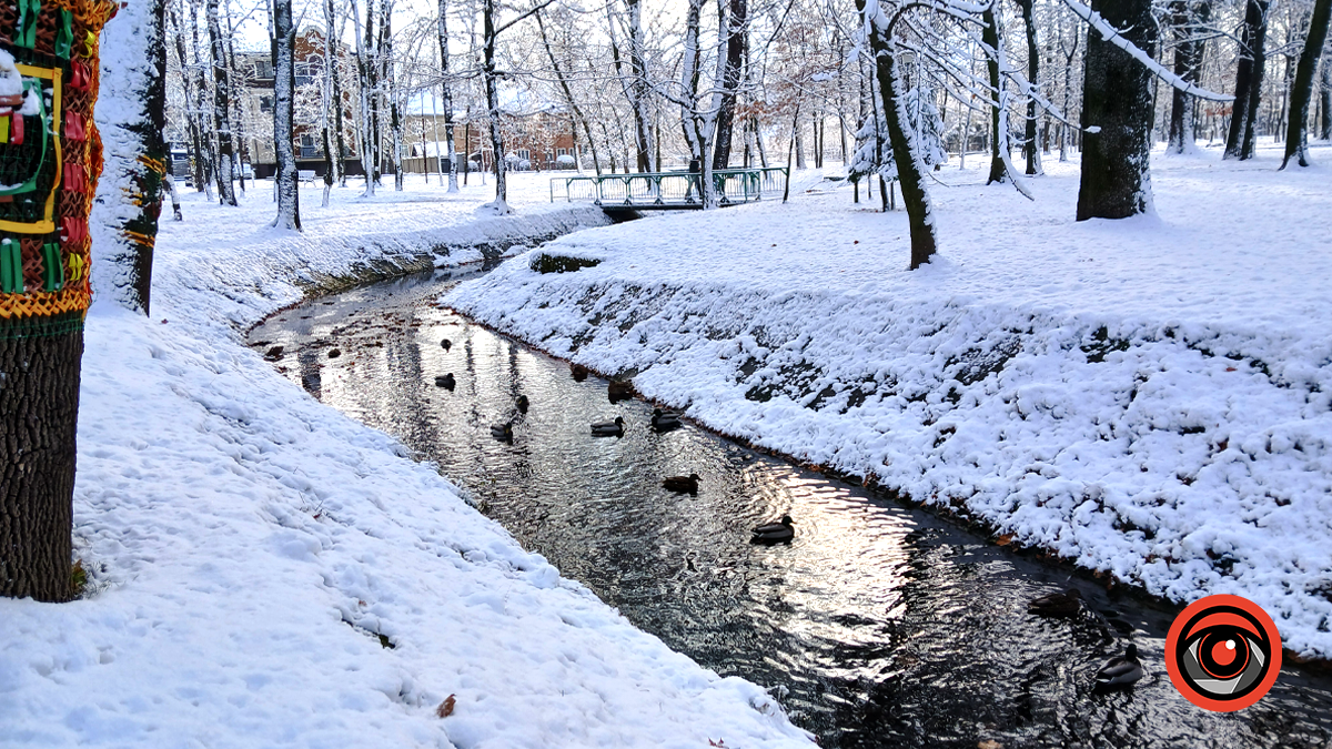 Засніжена з ароматом Різдва | Якою була Коломия в грудні 2024 7