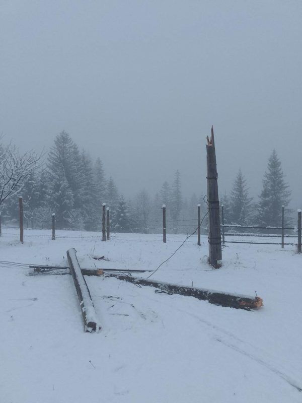 Через негоду на Косівщині та Верховинщині діють аварійні відключення світла 1