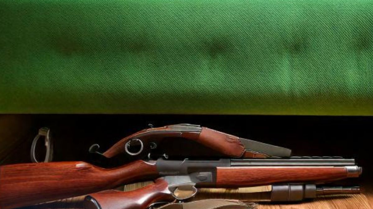 Зброя під диваном - штраф: як суд покарав мешканця Коломийщини