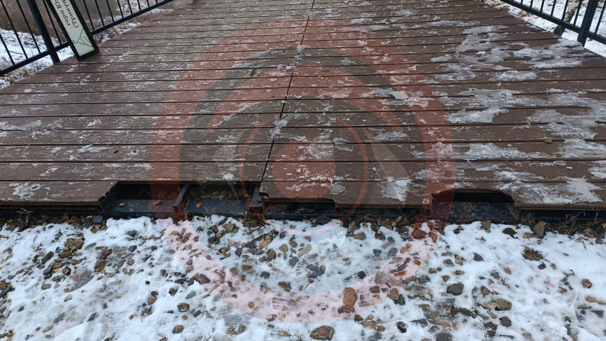 Фото: коломийський біговий клуб